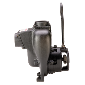 2" Cast Iron Wet Seal Pump Only