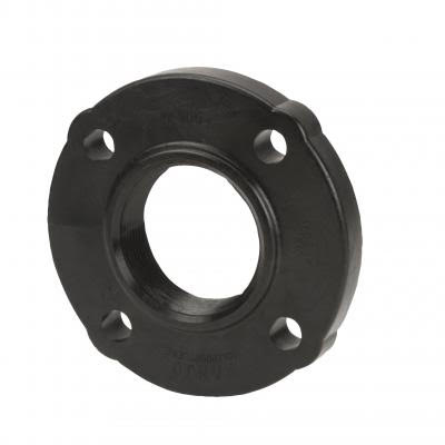 IBC Tank Fitting: ANSI Flange 150lb 4 Inch Poly