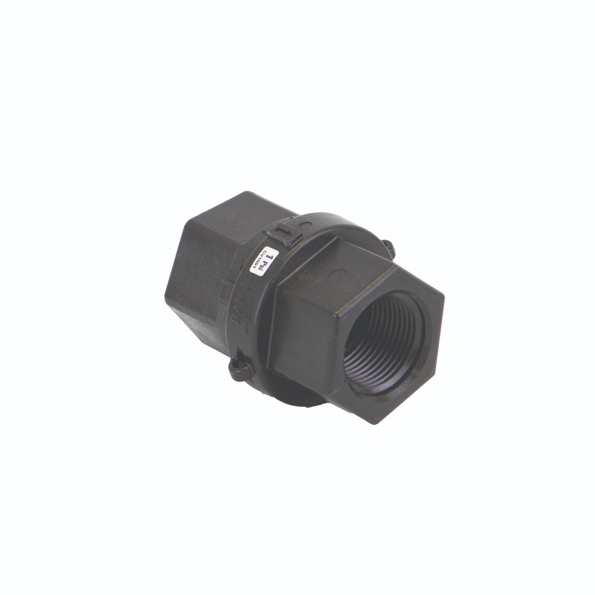 1" POLY FPT CHECK VALVE