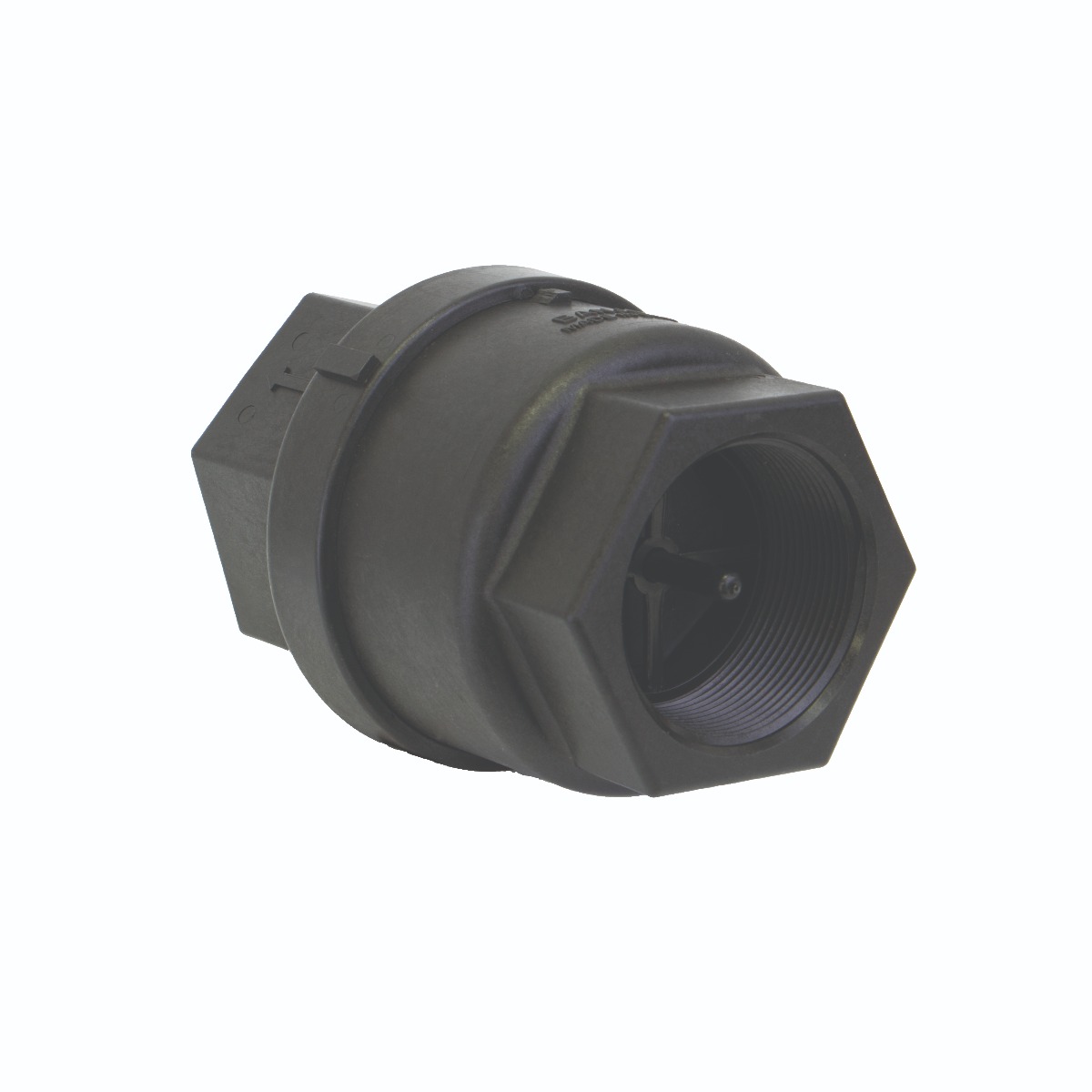 2" POLY FPT NPT CHECK VALVE