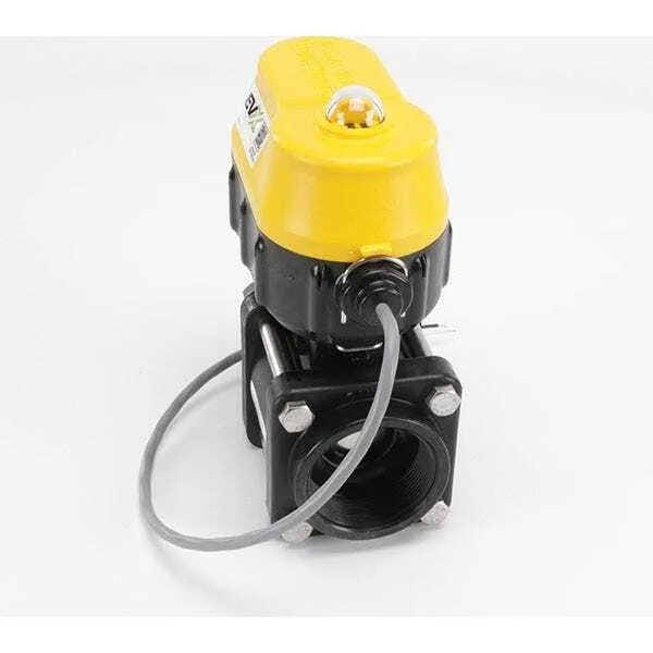 2" Standard Port Electric Valve